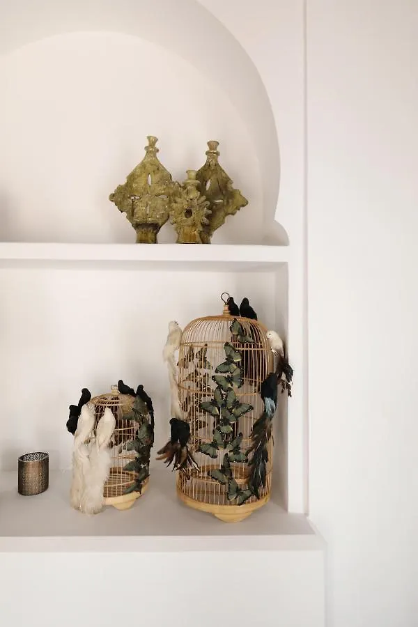 Riad Les Hirondelles Boutique Hotel Marrakesh Morocco